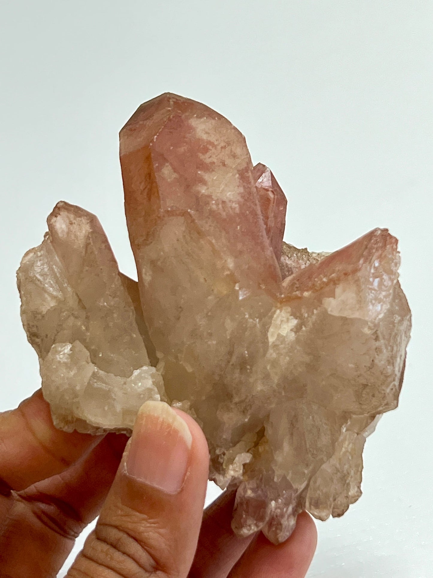 Dreamcoat Lithium Lemurian cluster, Lithium Lemurian, Pink Lithium cluster, Scarlet Temple Lemurian