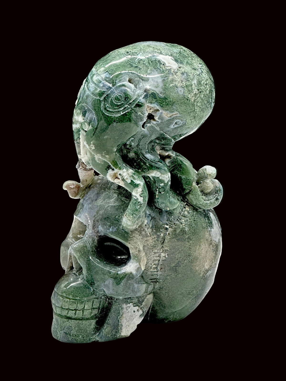 Moss Agate Skull with Octopus Carving | 9 Inch Crystal Skull | 1.68kg
