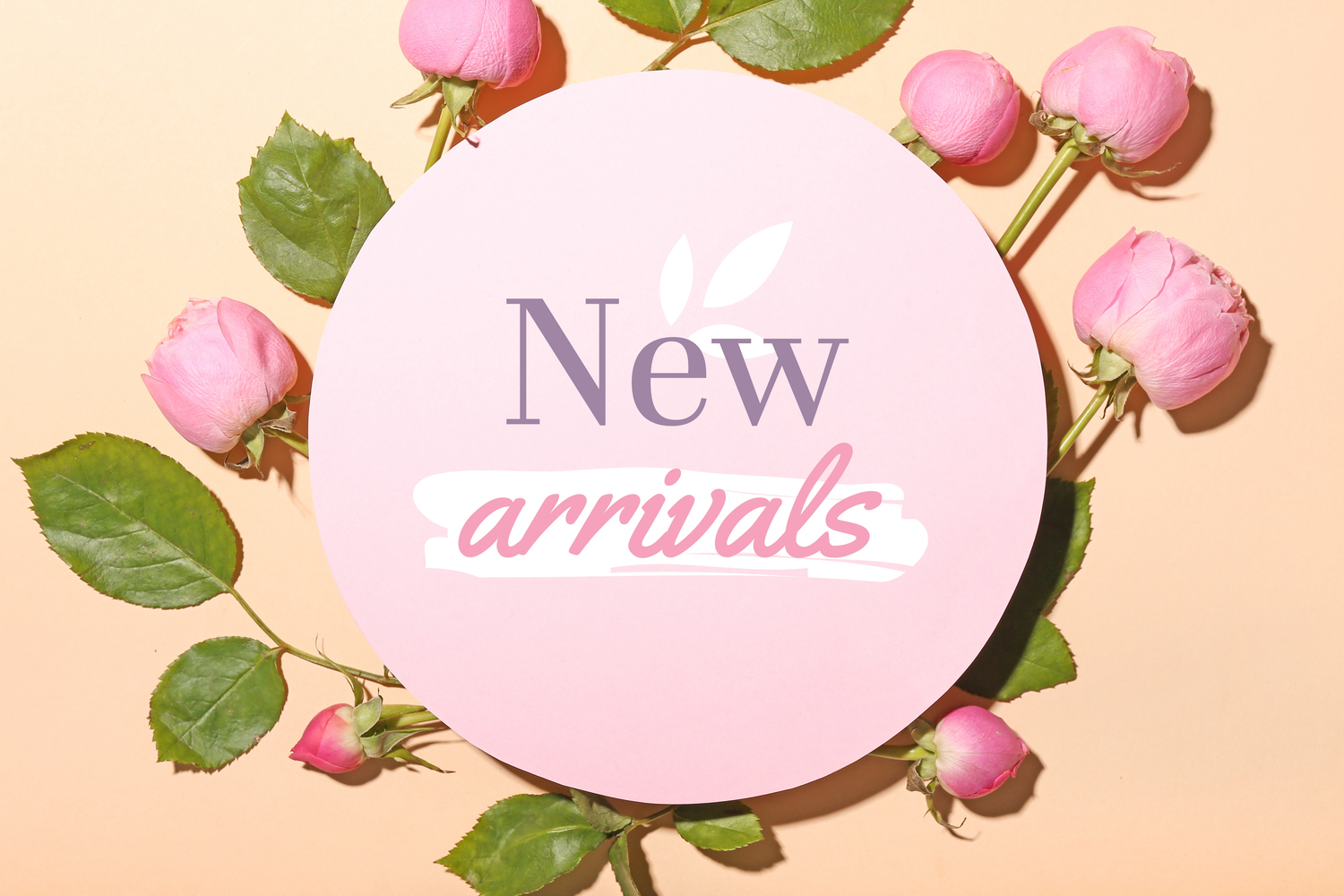 New Arrivals