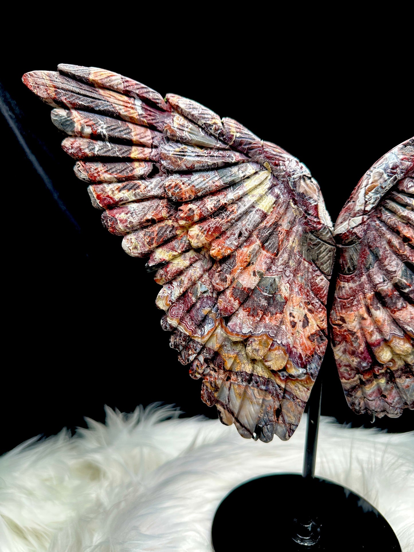 Large Mexican Crazy Lace Agate Crystal Butterfly Wings on Stand - Natural Crystal Sculpture