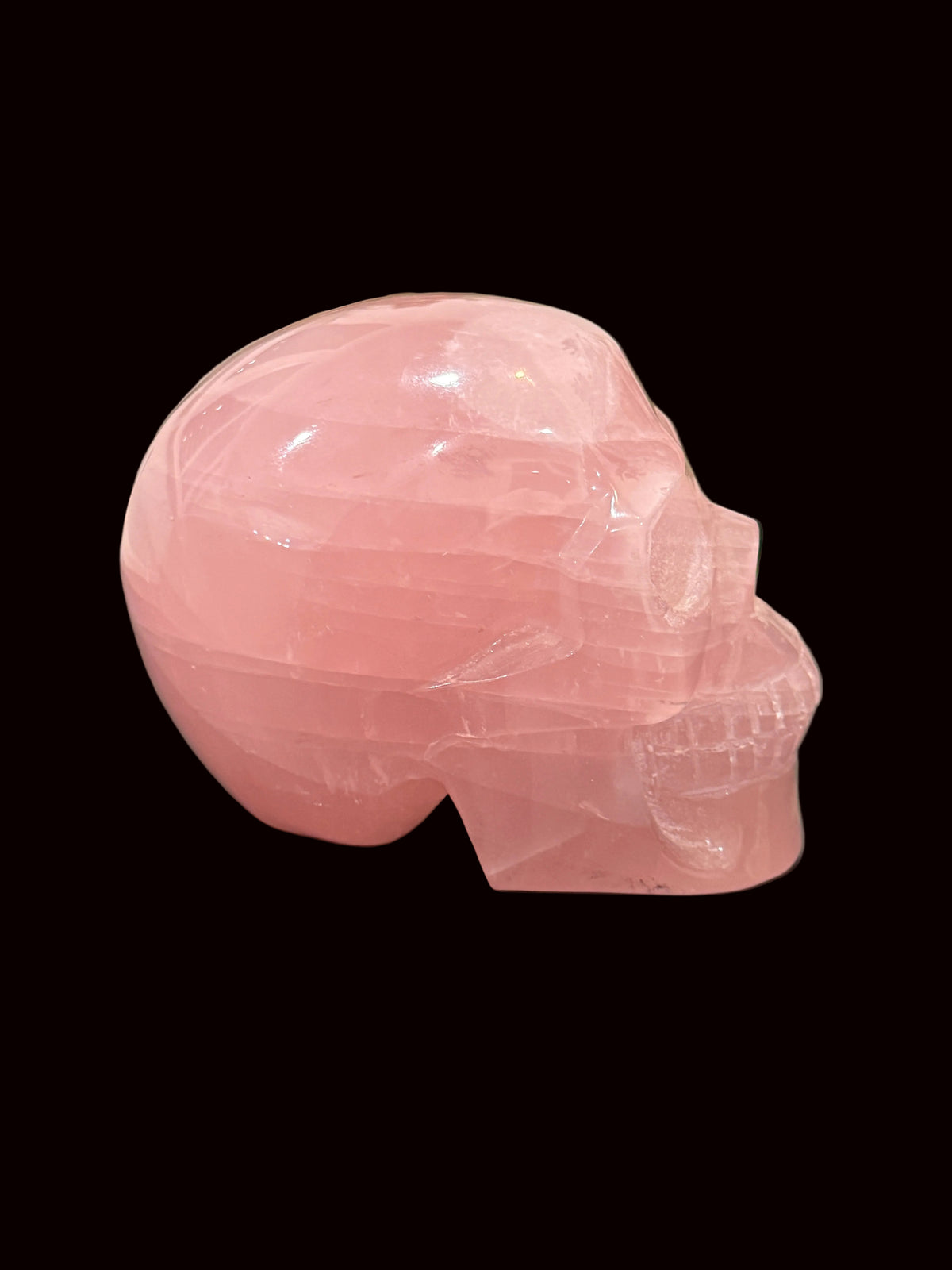 Madagascar Rose Quartz Crystal Skull - display setting showing scale
