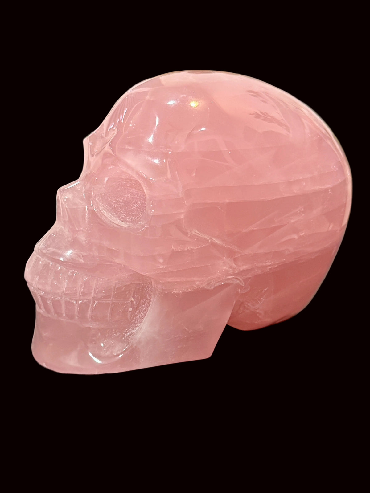 Large Madagascar Rose Quartz Crystal Skull - side view showing soft pink translucency