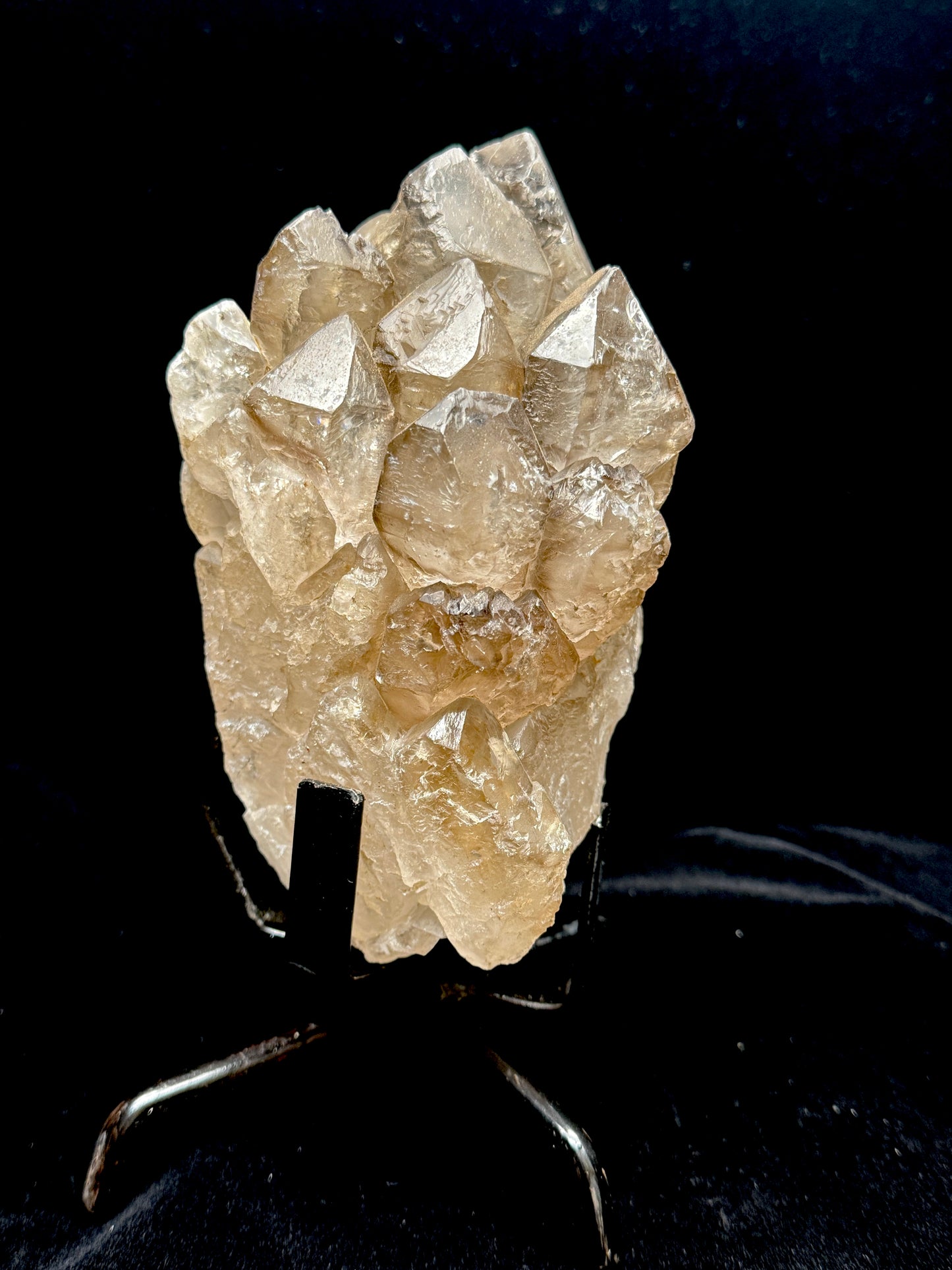 High Quality Large Elestial Smoky Quartz Cluster Specimen on Stand – 7.9 Inches Tall