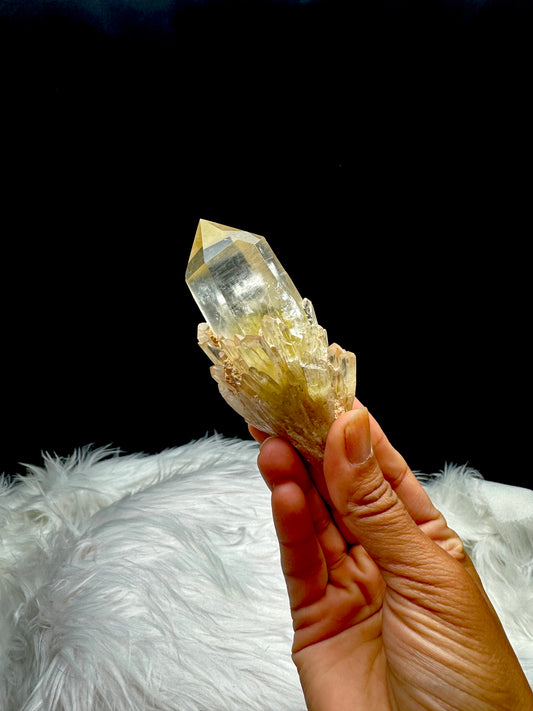 Natural Raw Citrine Crystal Cluster from Congo with Semi-Polished Points