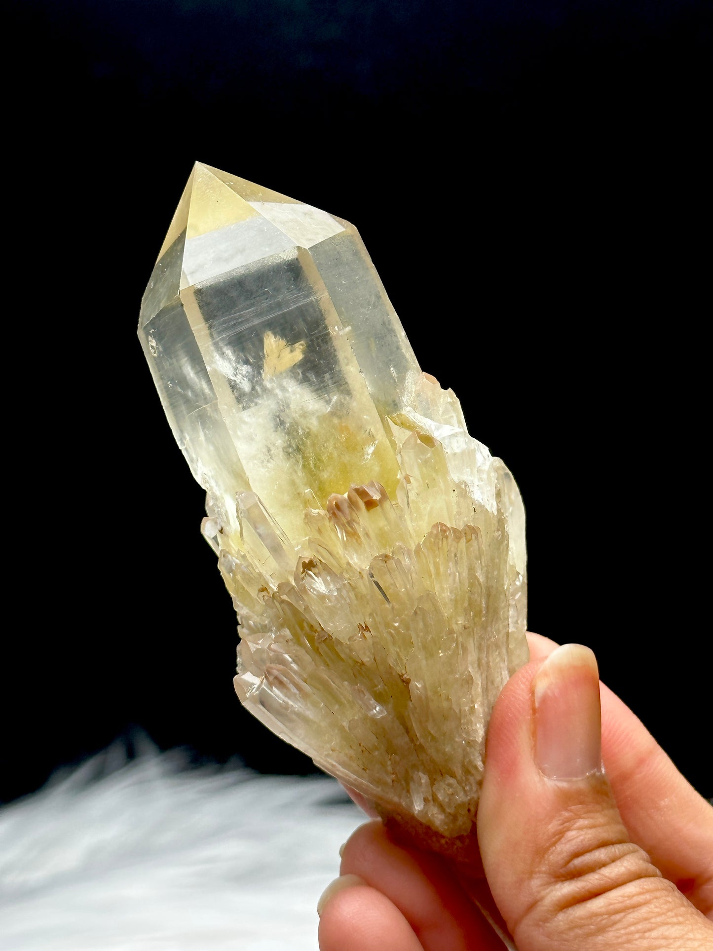 Natural Raw Citrine Crystal Cluster from Congo with Semi-Polished Points