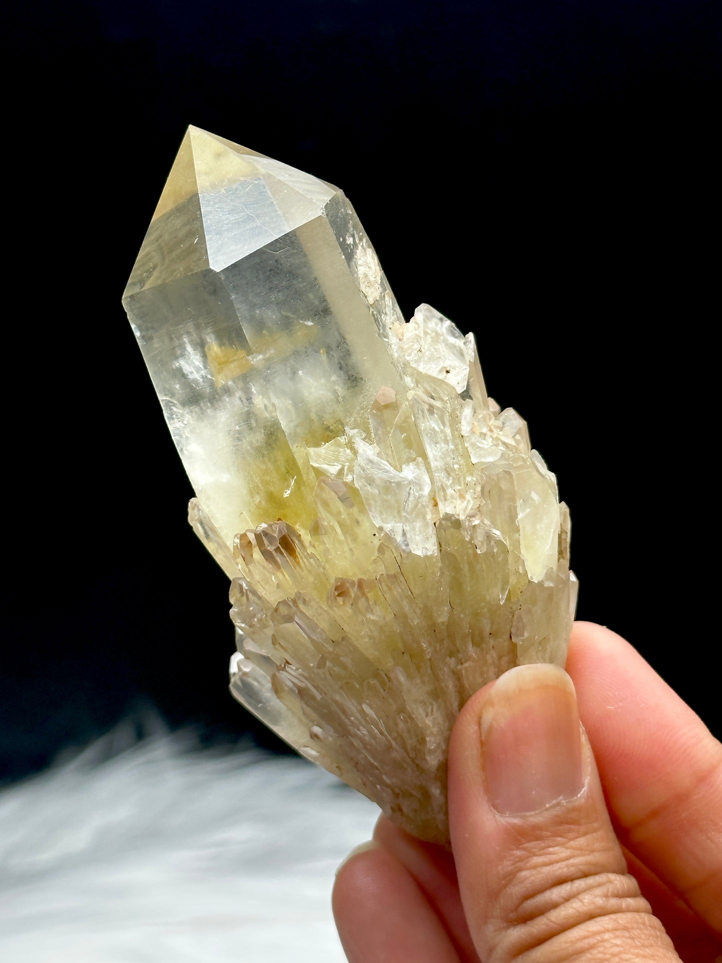 Natural Raw Citrine Crystal Cluster from Congo with Semi-Polished Points