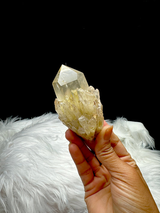 Stunning Raw Citrine Crystal Cluster with Semi-Polished Points from Congo - Invite Abundance and Beauty into Your Life!