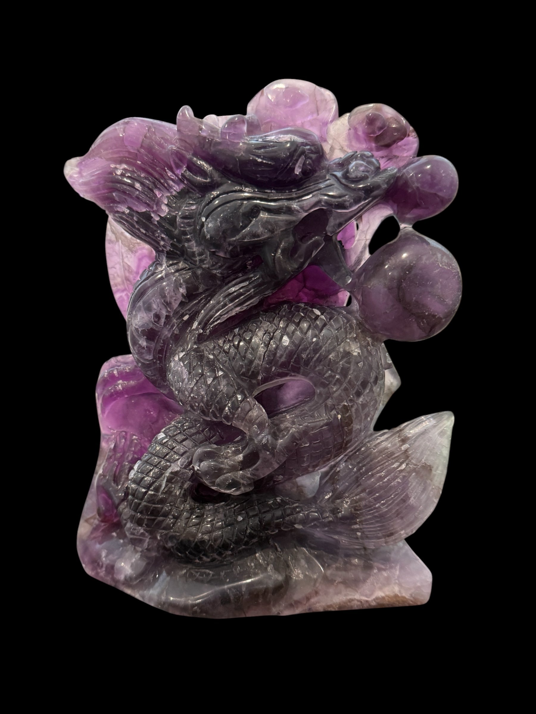 Purple fluorite dragon carving - black background front view