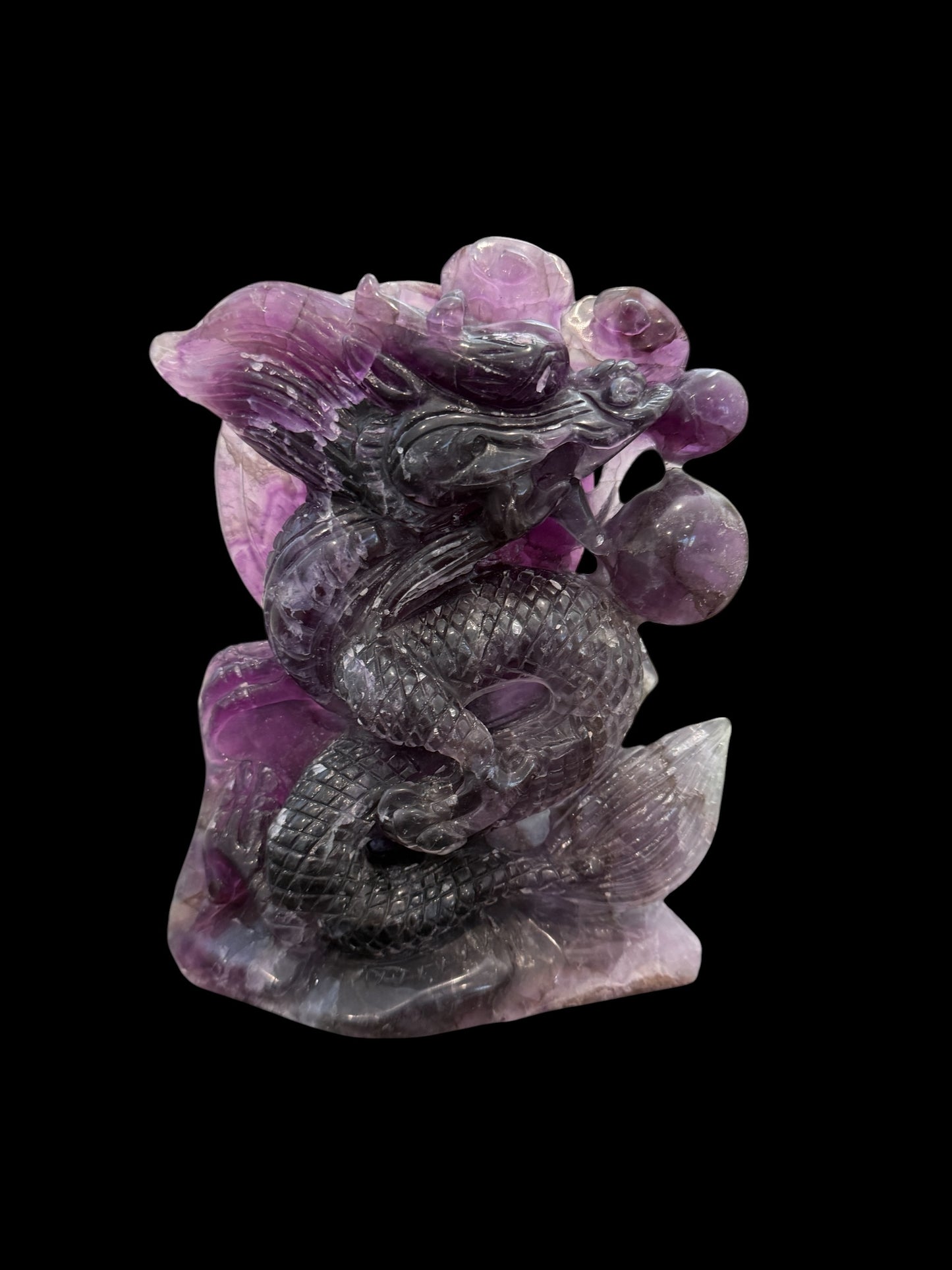 Purple fluorite dragon carving - black background side view
