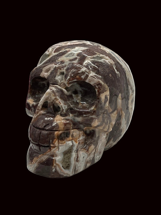 Mexican crazy lace agate skull with druzy - 4.5 inch // Hand-Carved, Polished Stone // Mental Agility, Flexibility and Cleansing