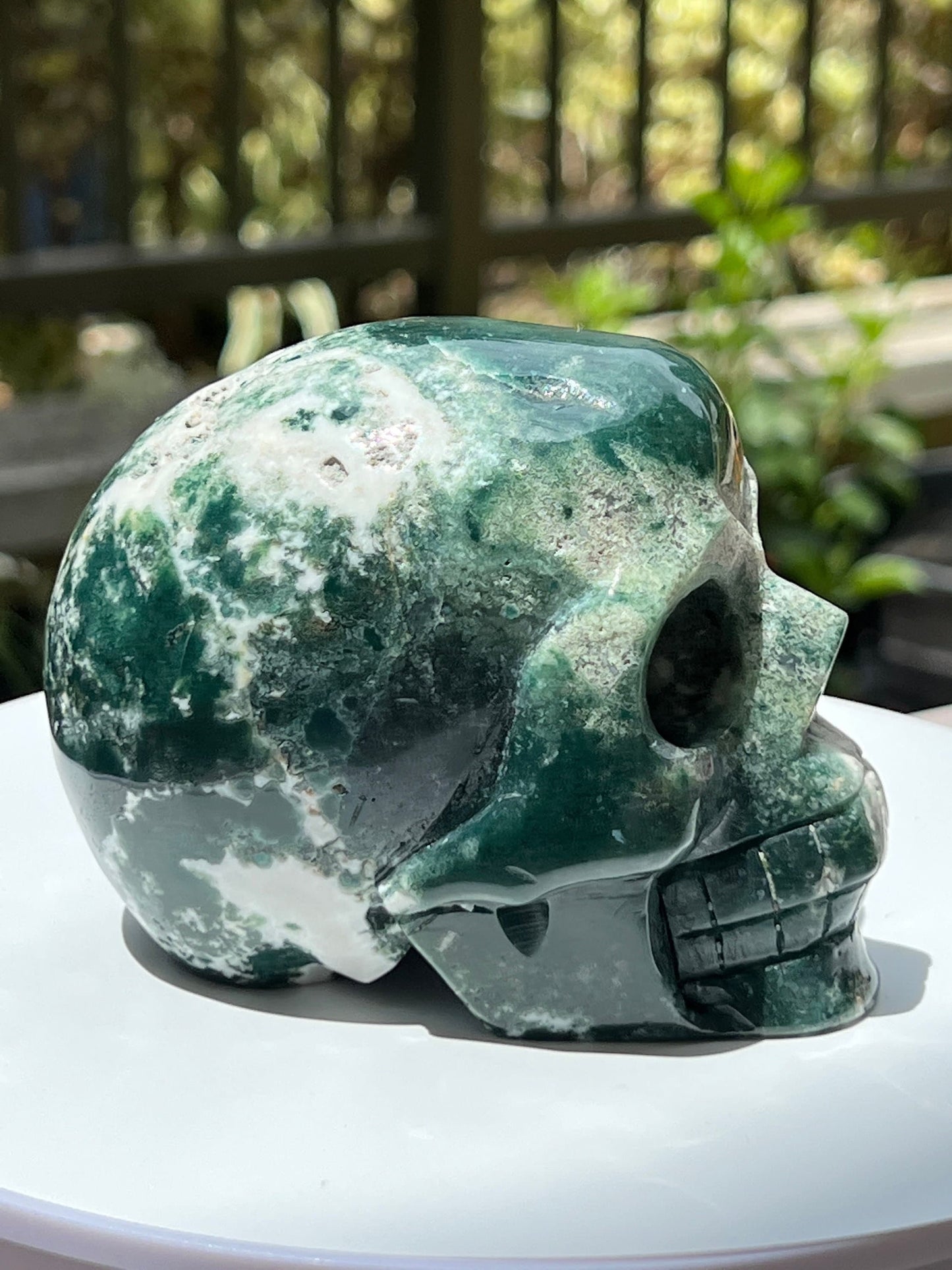 Large Moss Agate Skull - Forgiveness, Abundance, Balance - Heart Chakra Healing