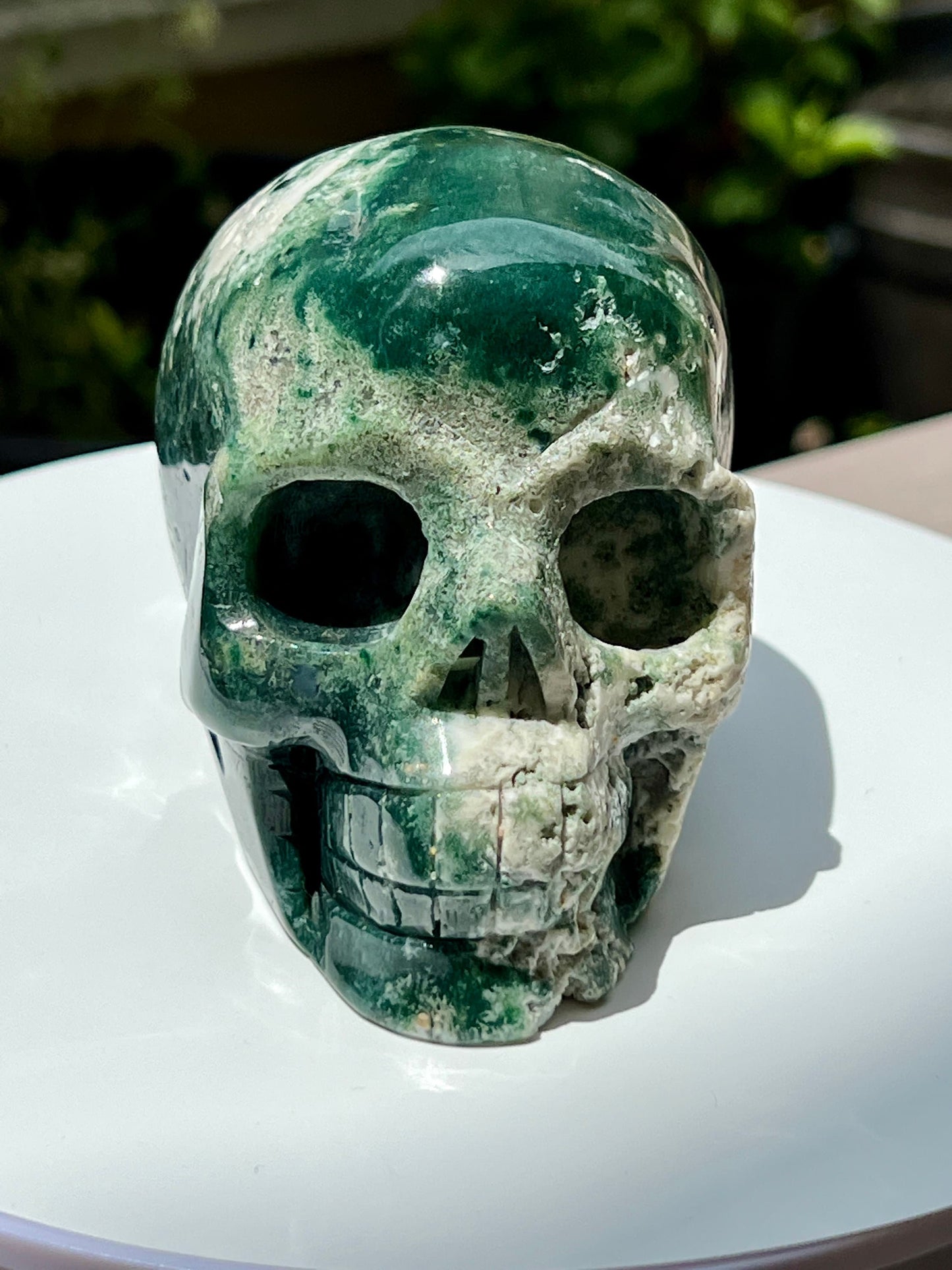 Large Moss Agate Skull - Forgiveness, Abundance, Balance - Heart Chakra Healing