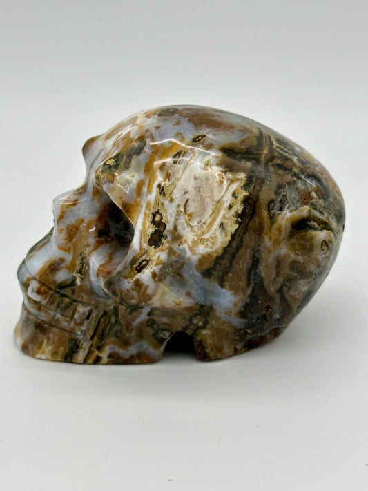 Beautiful Ocean Jasper Skull, Colorful OJ Skull