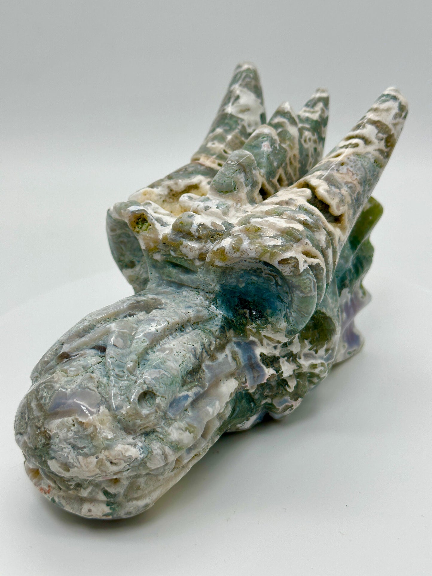 Beautiful Large Moss Agate Dragon head Skull