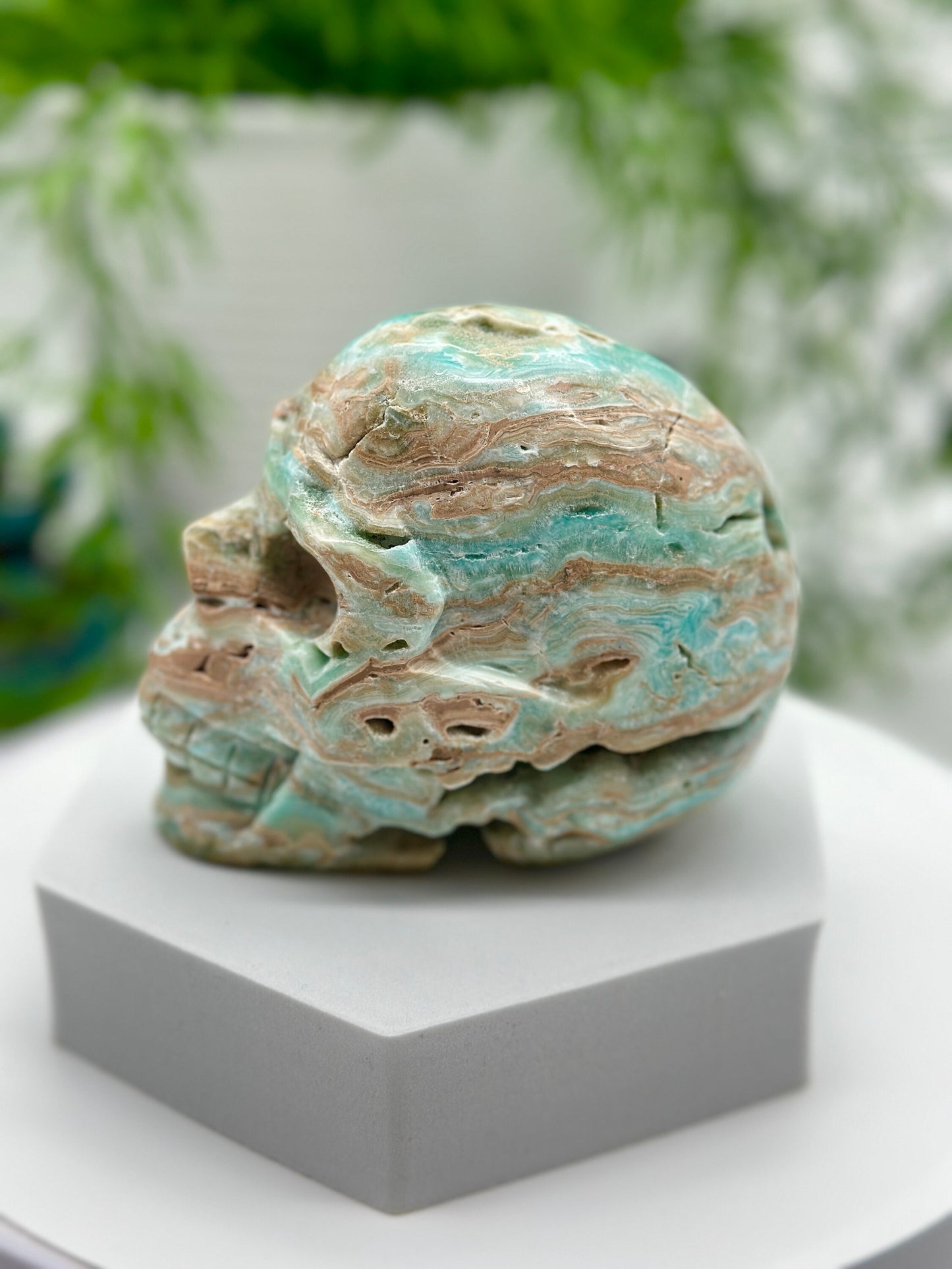 Turquoise Blue Aragonite Skull, Blue Aragonite Carved crystal skull