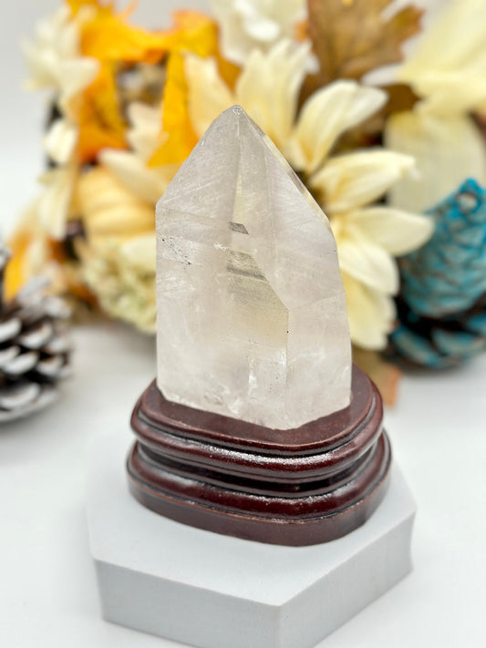 Large Lemurian DT on wooden stand, Natural Lemurian Seed Quartz from Brazil