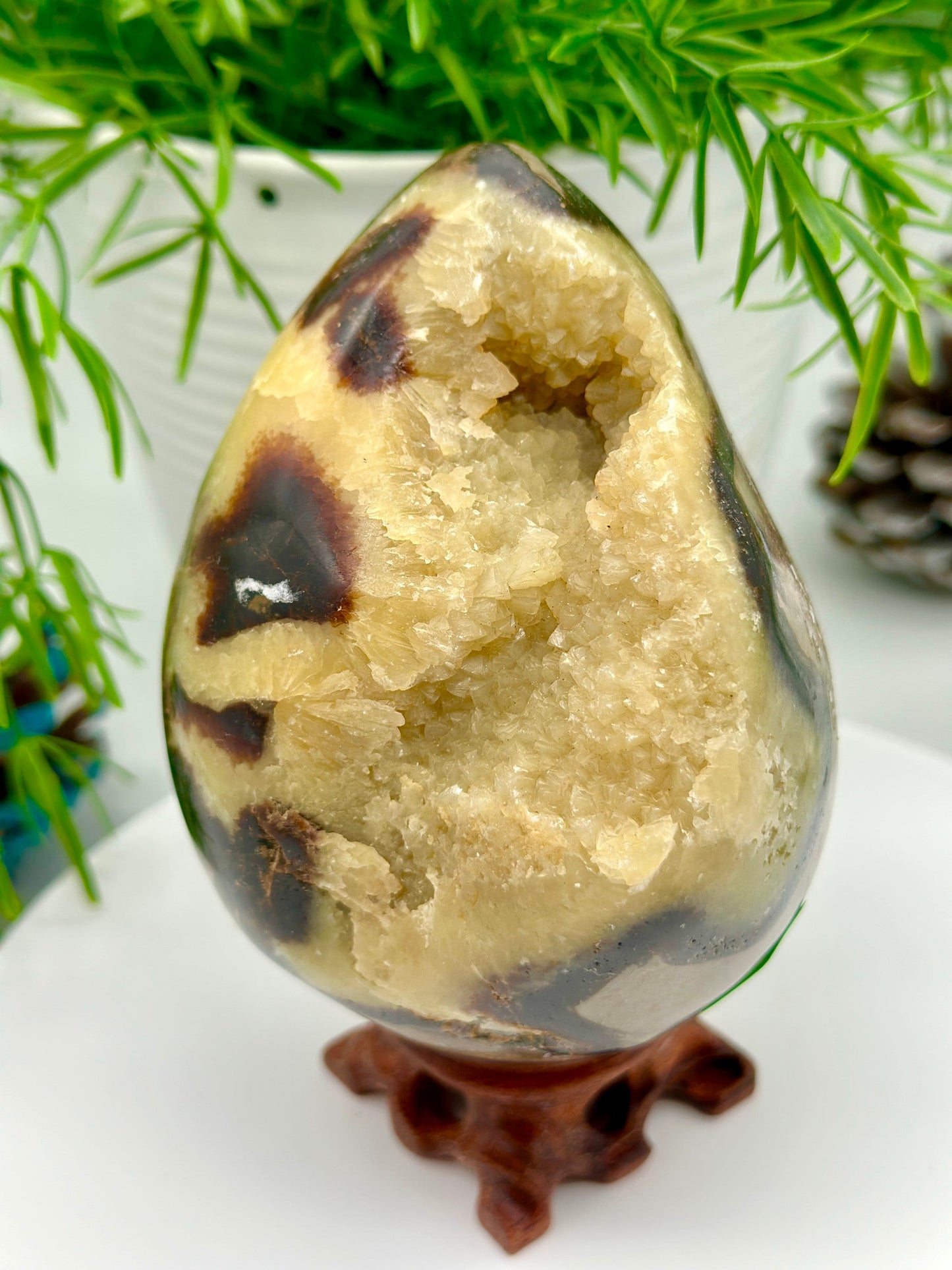 1.1kg Natural Dragon Septarian Geode, Septarian Nodule Hollow Crystal Egg,Mineral Specimen,Home Decoration,Reiki Healing