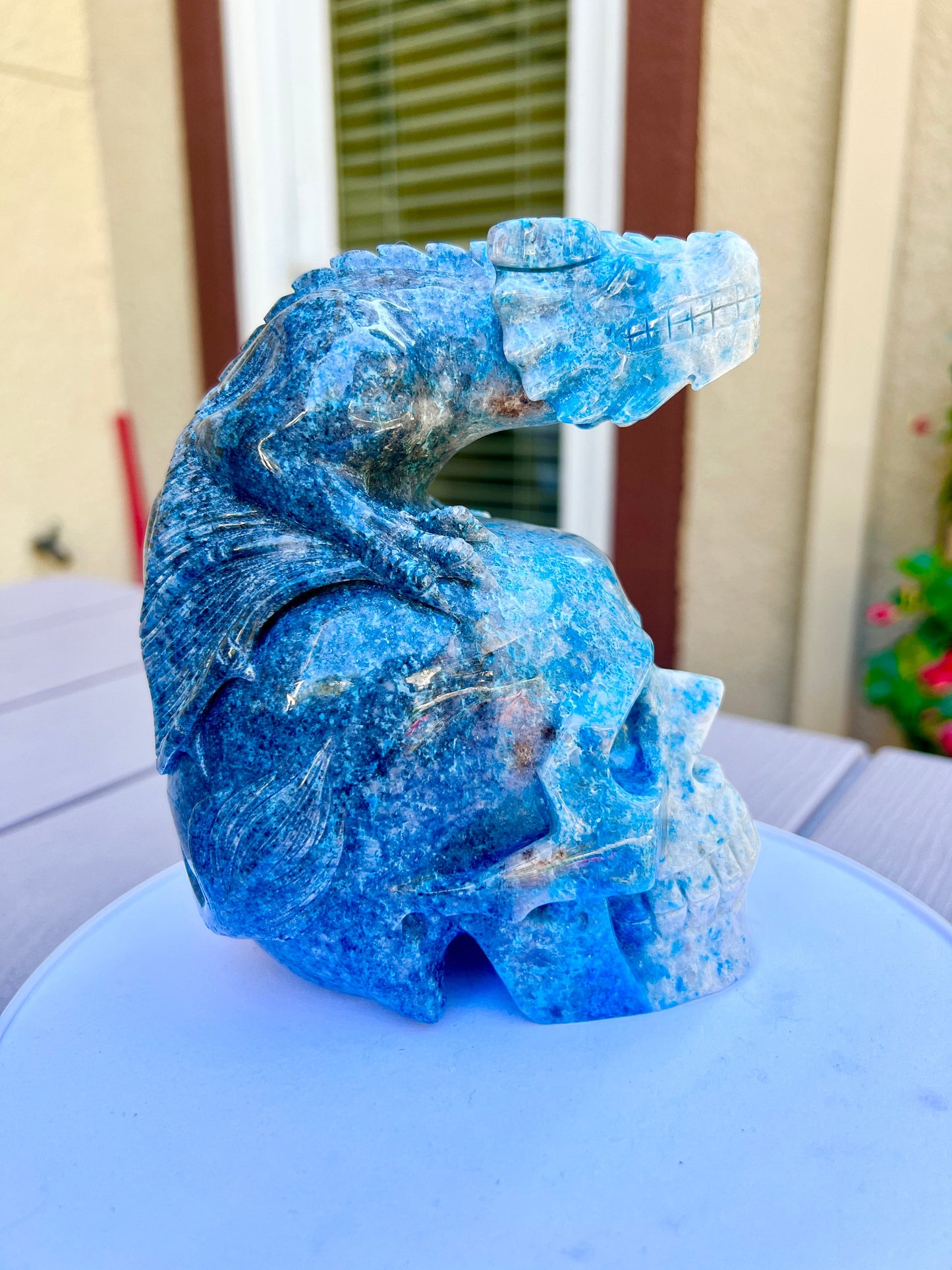 XL Trolleite Skull | Dragon Skull | Carved Crystal Skull with Dragon |Trolleite Skull | Crystal Skull | Dragon Skull Art | Trollite Skull