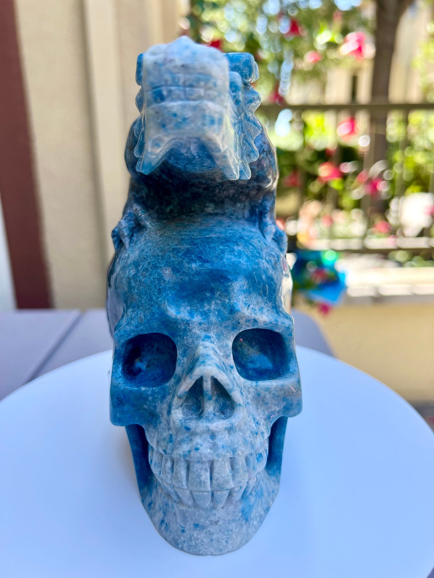 XL Trolleite Skull | Dragon Skull | Carved Crystal Skull with Dragon |Trolleite Skull | Crystal Skull | Dragon Skull Art | Trollite Skull