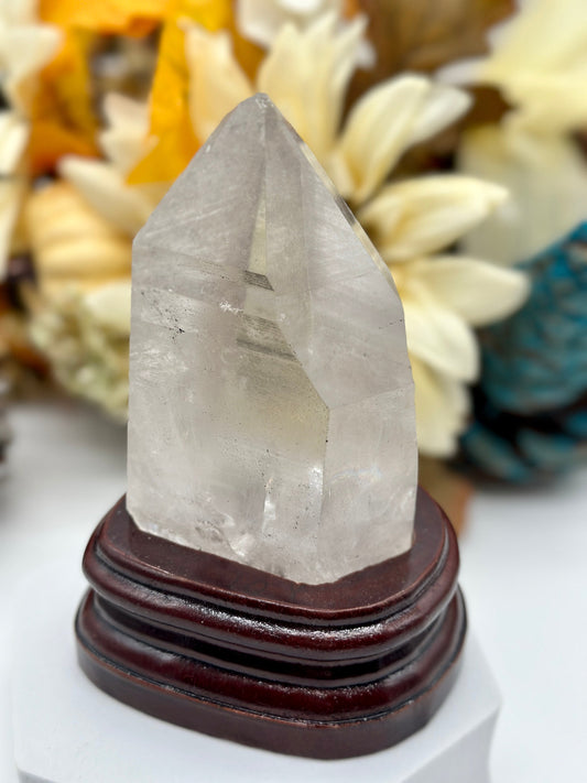 Large Lemurian DT on wooden stand, Natural Lemurian Seed Quartz from Brazil