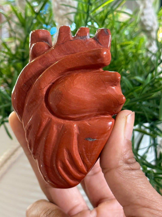 Red Jasper Anatomical Heart Carving | Human Crystal Heart