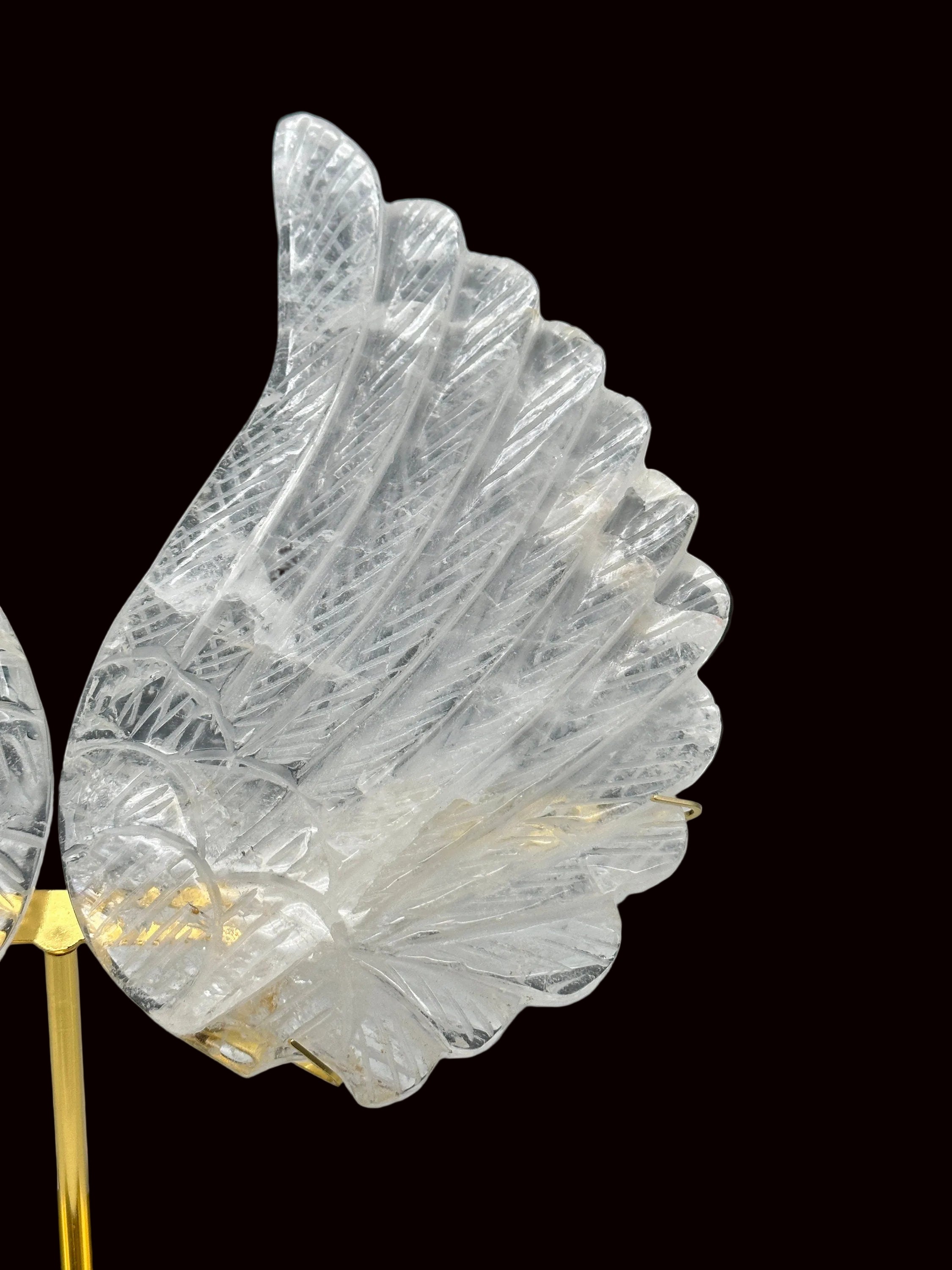 Angel Wings Glass WING ANGEL – - SWEATER CLEAR Muse Fused Fuse 0 