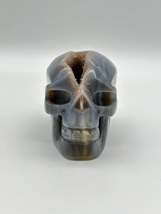 Blue Agate Skull | Druzy Blue Agate Skull  | Blue Lace Agate Skull- , hand made, hand carved, natural,  5 inches tall and 1kg