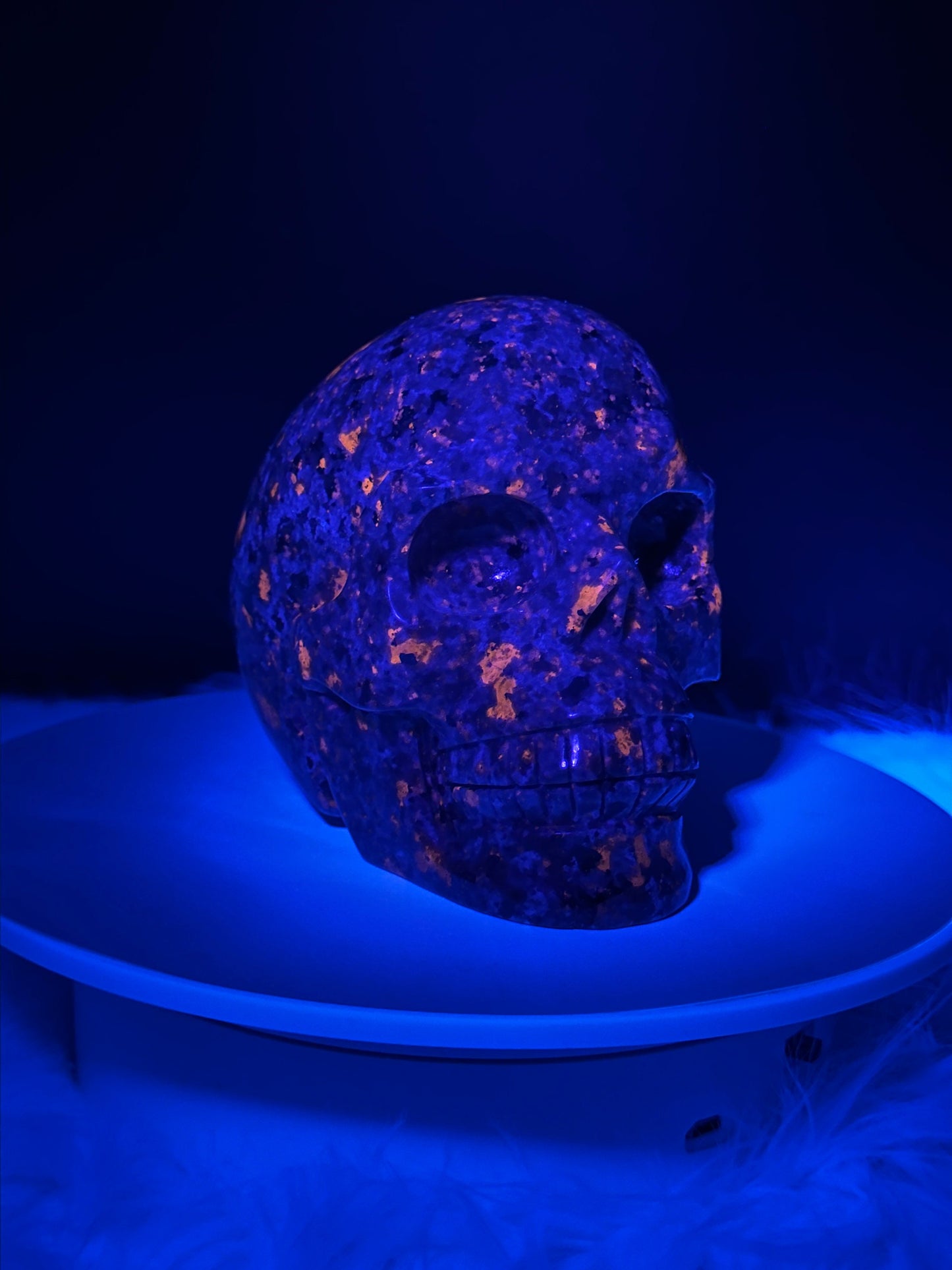 5.1" Yooperlite Hand Carved Gemstone Skull, Crystal Skull, UV Reactive Yooperlite Skull