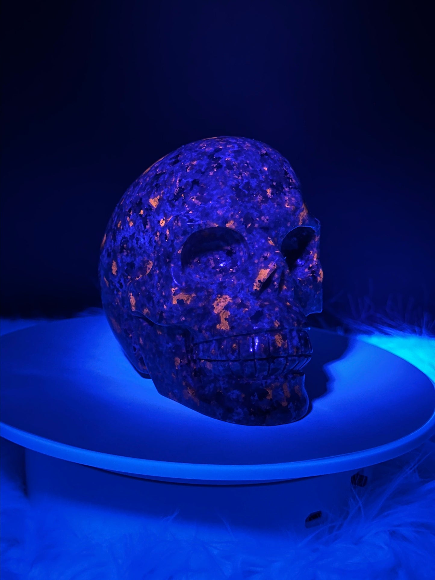 5.1" Yooperlite Hand Carved Gemstone Skull, Crystal Skull, UV Reactive Yooperlite Skull