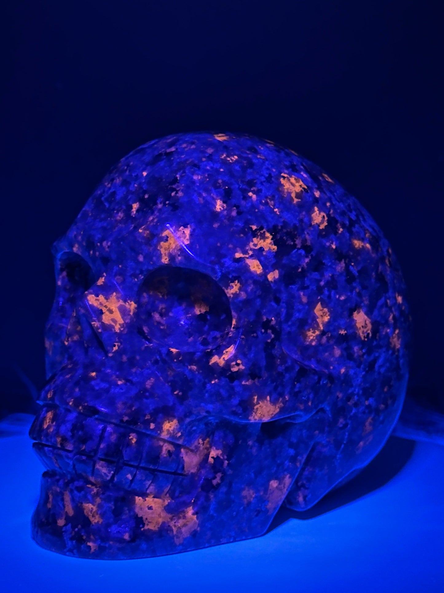 5.1" Yooperlite Hand Carved Gemstone Skull, Crystal Skull, UV Reactive Yooperlite Skull