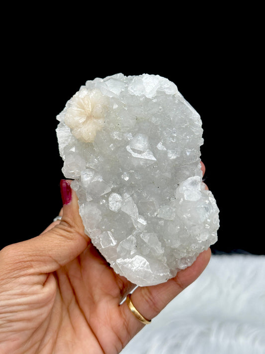 Apophyllite Crystal Specimen with stilbite flower - medium size