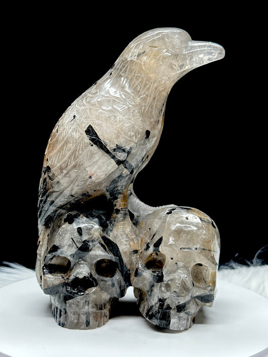 Black Tourmaline In Quartz Raven Skull, Raven Standing on Two Skulls (11") Rutilated Quartz, Black Tourmaline in Quartz Skull