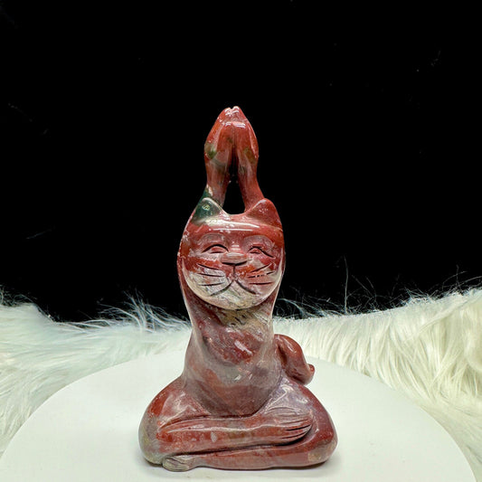 Ocean Jasper Yoga Cat