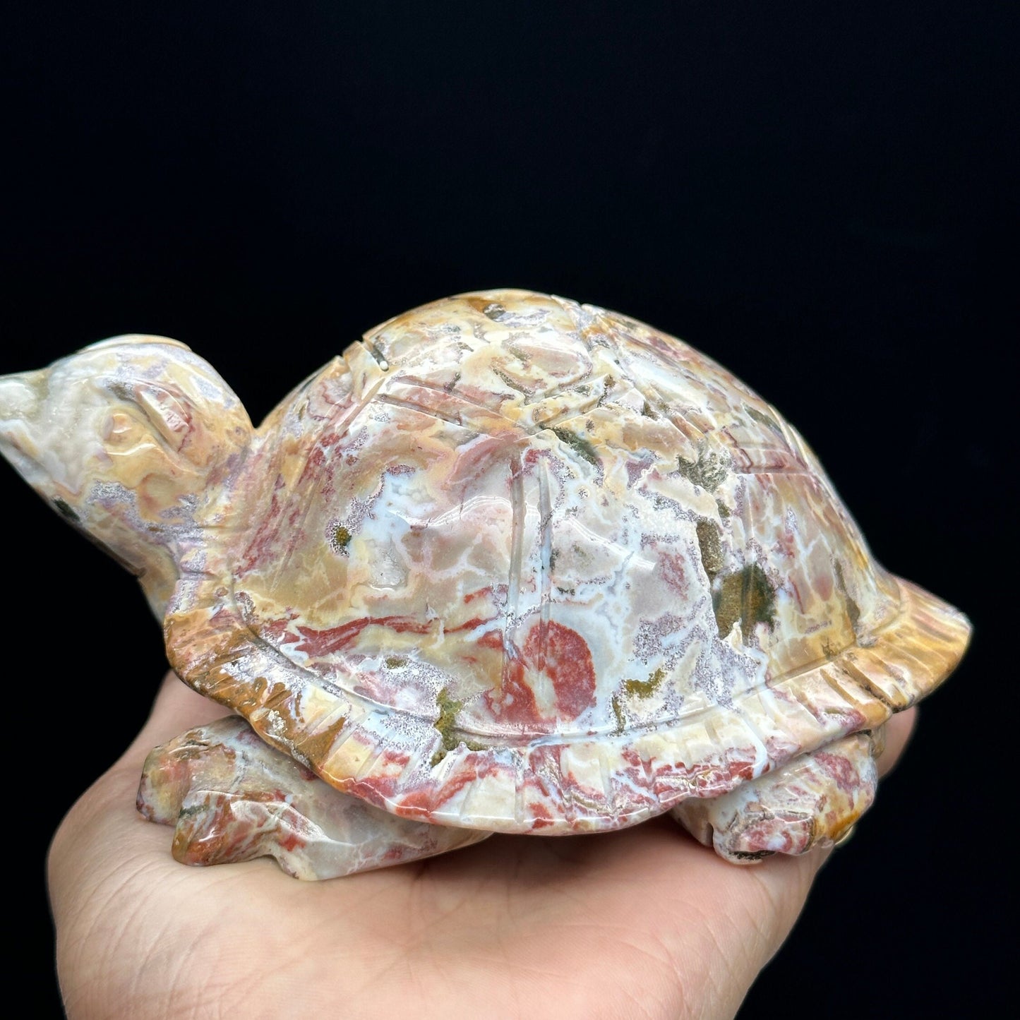 Colorful Ocean Jasper Turtle Carving