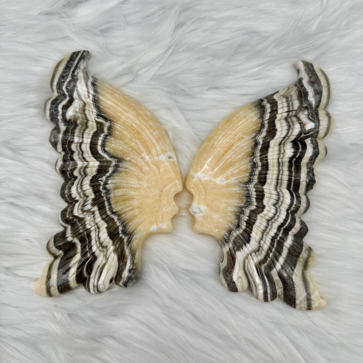 Zebra Calcite Crystal Butterfly Wings On Golden Stand