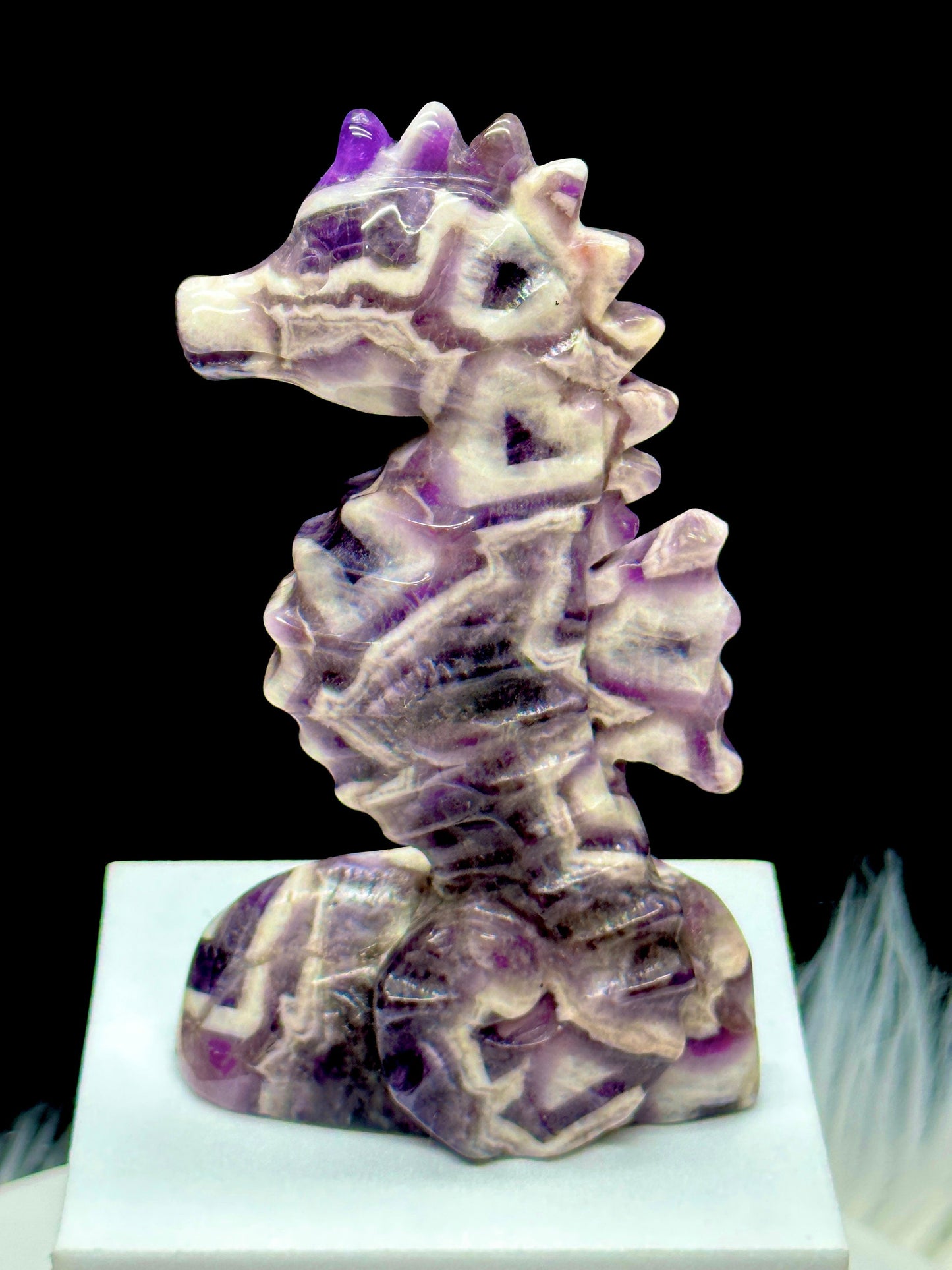 Dream Amethyst Sea Horse Carving, Crystal Decor