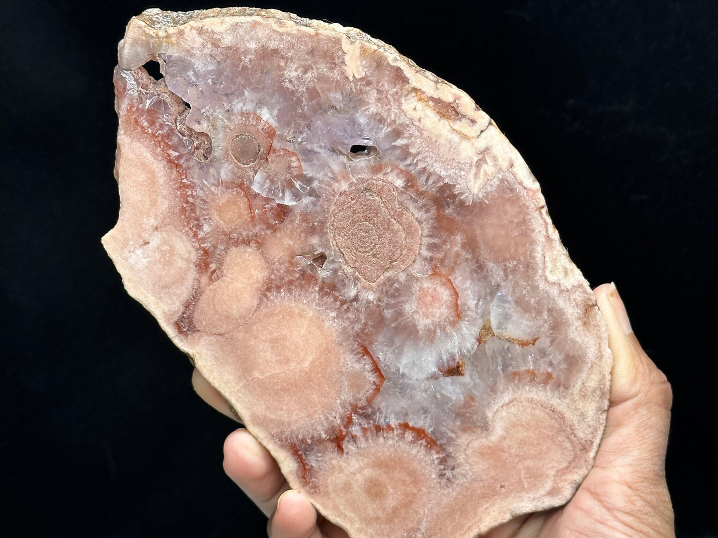 Beautiful Flower Agate Crystal Slab