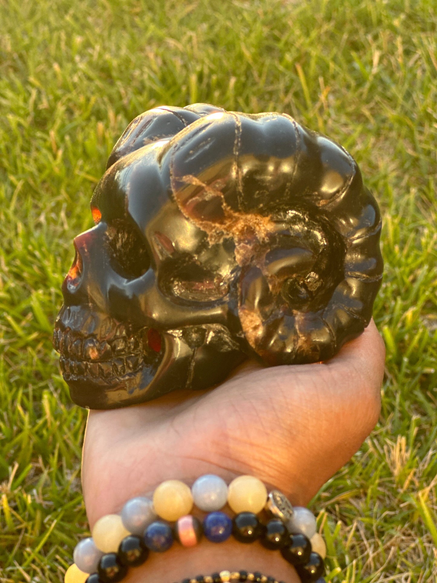 Magical Blue Dominican Amber Skull