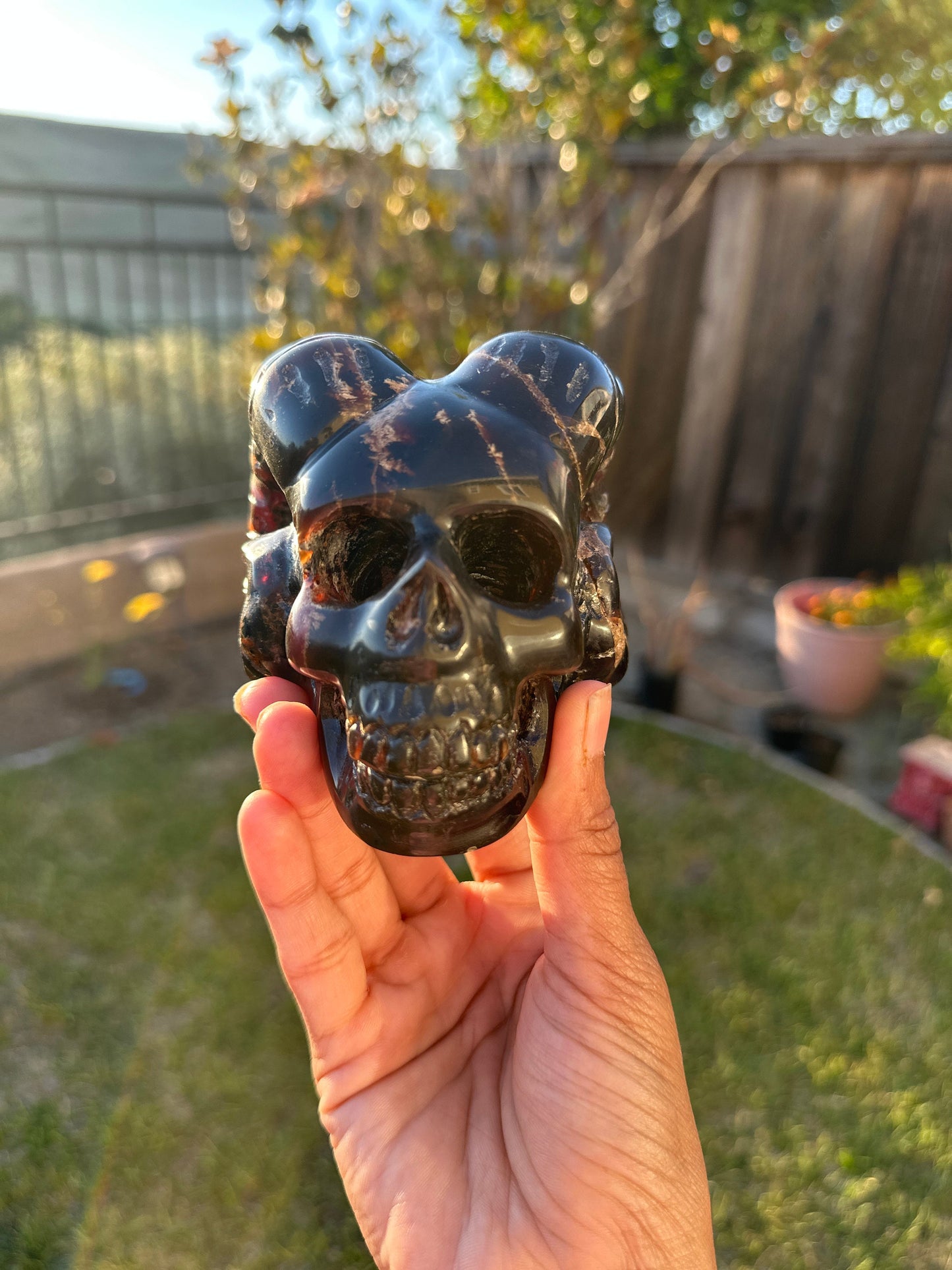 Magical Blue Dominican Amber Skull