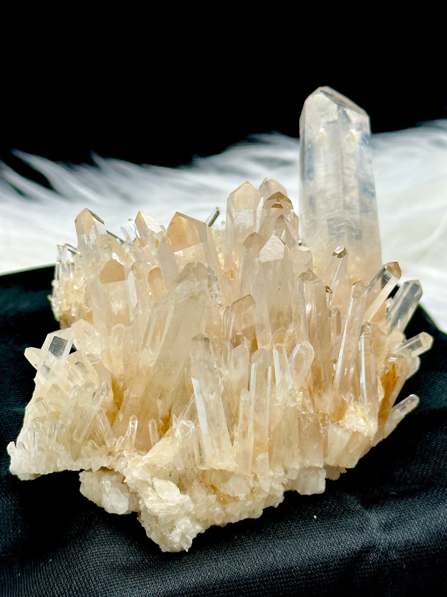 Rare Golden Healer DNA Blue Feather Lemurian Quartz Cluster Specimen