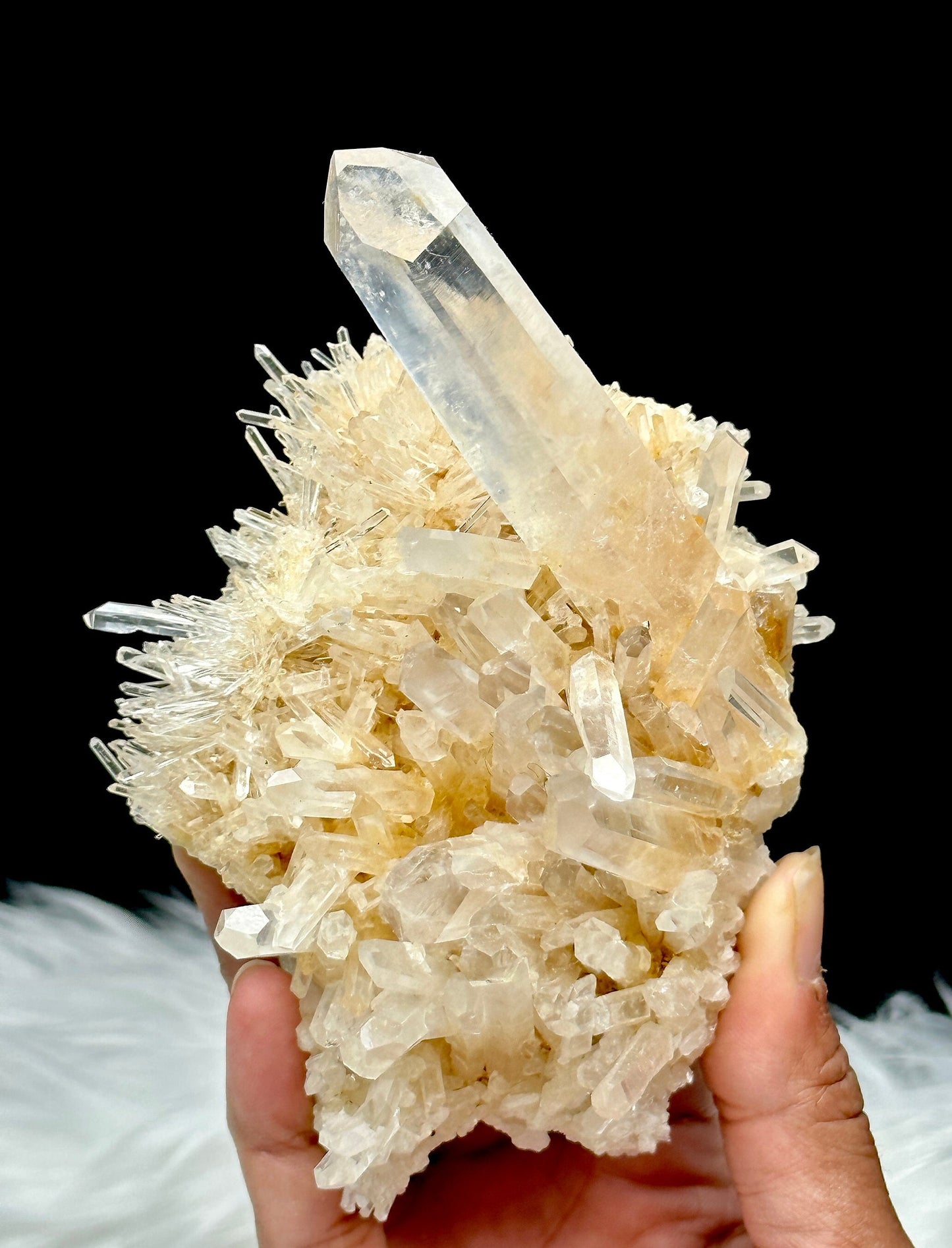 Rare Golden Healer DNA Blue Feather Lemurian Quartz Cluster Specimen