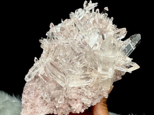 Extra High Quality Sacred Rose Pink Lemurian Quartz Cluster Specimen