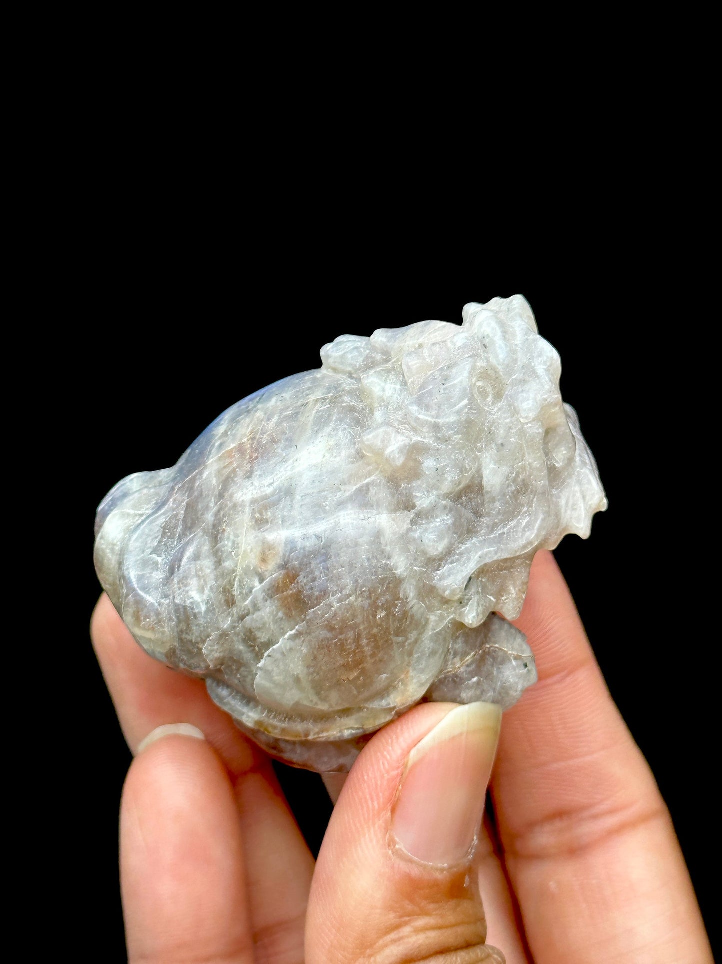 Natural Blue Flash Moonstone Crystal Pixiu Carving