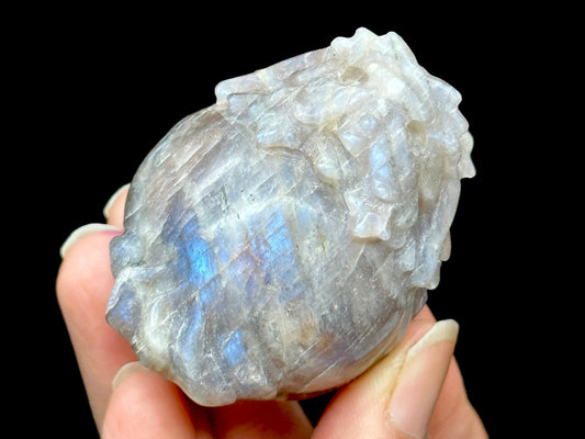 Natural Blue Flash Moonstone Crystal Pixiu Carving