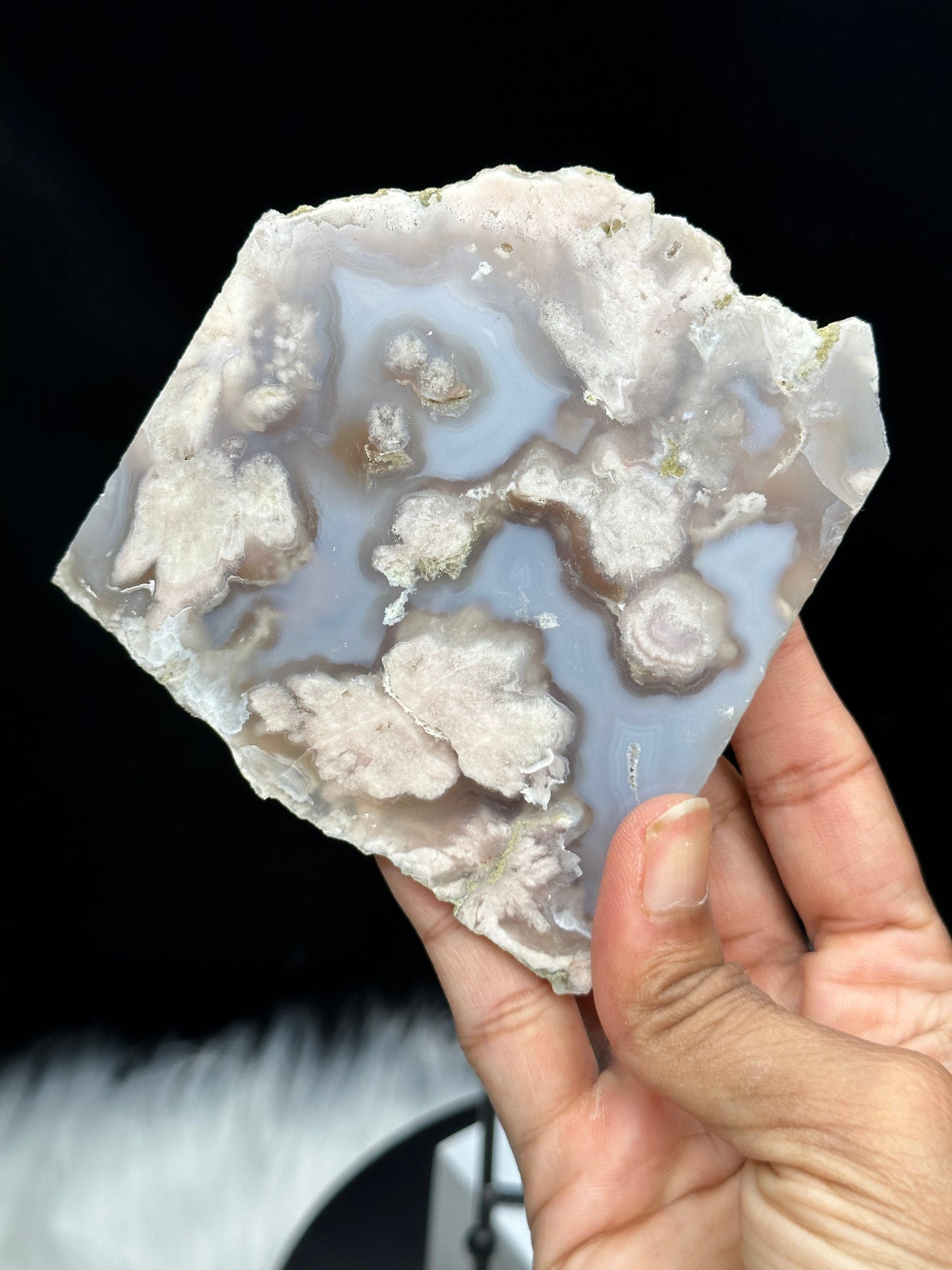 Blue Flower Agate Crystal slab