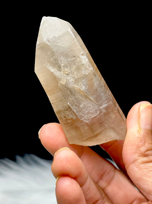 Raw natural Citrine Lemurian Seed Crystal