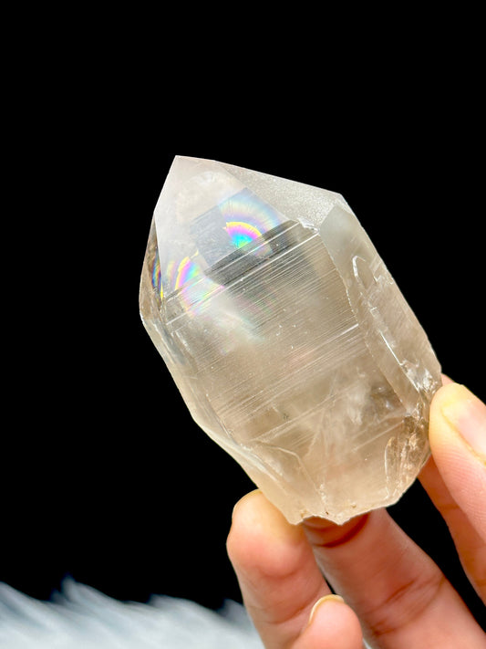 Rainbow Filled Citrine Lemurian Seed Crystal