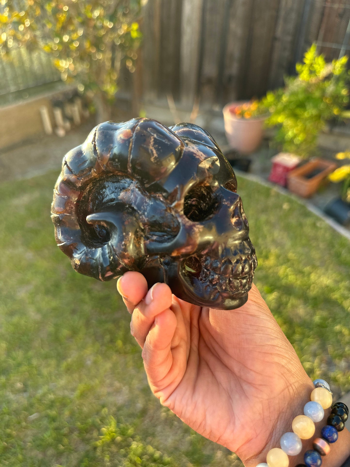 Magical Blue Dominican Amber Skull