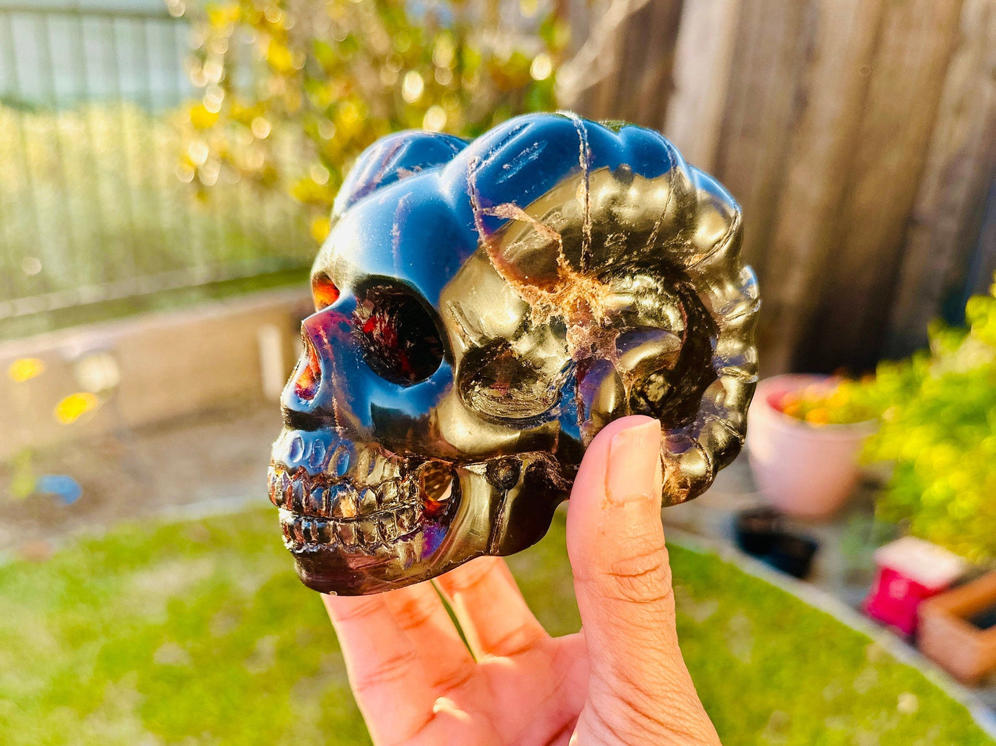 Magical Blue Dominican Amber Skull