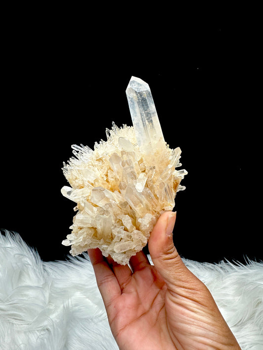 Rare Golden Healer DNA Blue Feather Lemurian Quartz Cluster Specimen